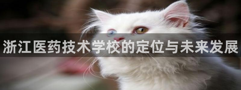 j9九游会app官方下载