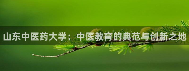 J9九游会是干嘛的