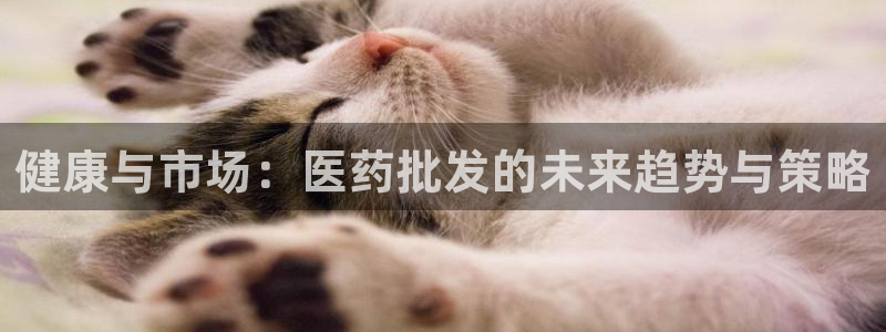 九游会app官方下载安装