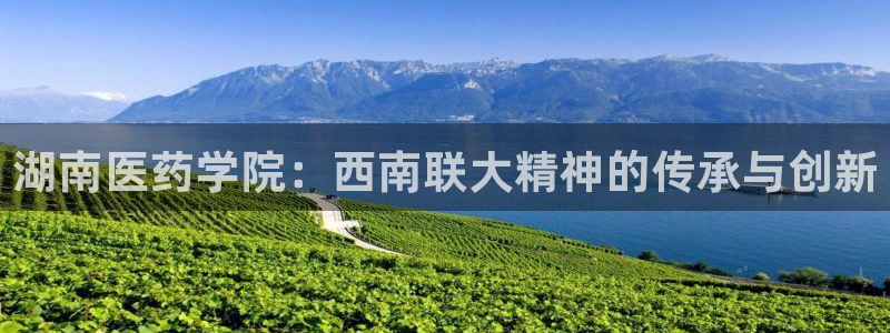 ag九游会登录中心