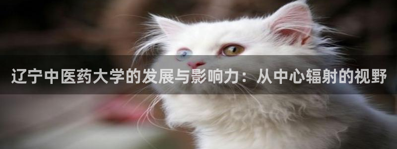 九游会j9官网网站