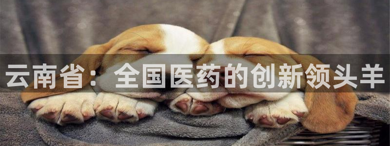 J9九游会国际站