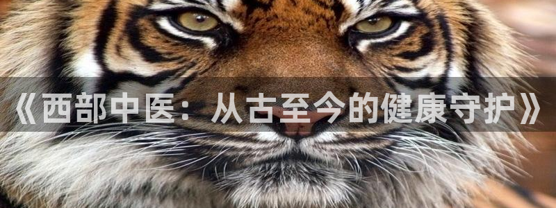 九游会官方旗舰店