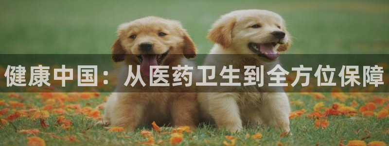 j9九游会如何充值