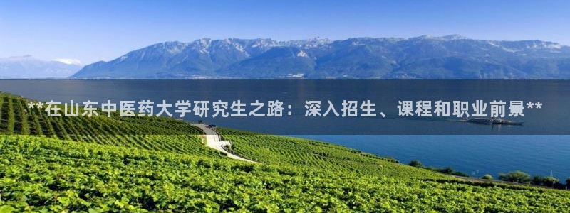 九游会ag官方网站在哪