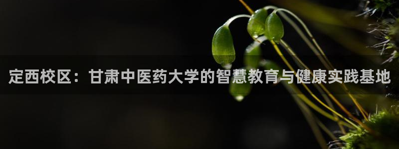 九游会官网多少