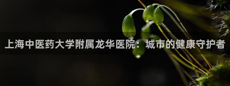 九游会手机版登录