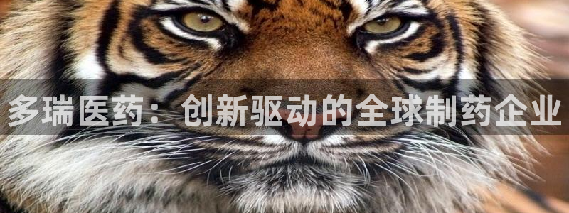 九游会视讯,九游会视讯厅