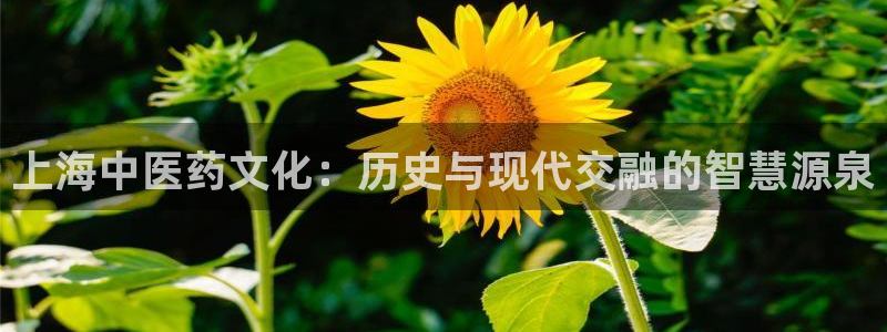 九游会网页版登录