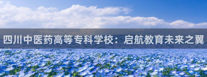 ag九游会登录j9入口