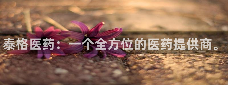 九游会登录网址多少