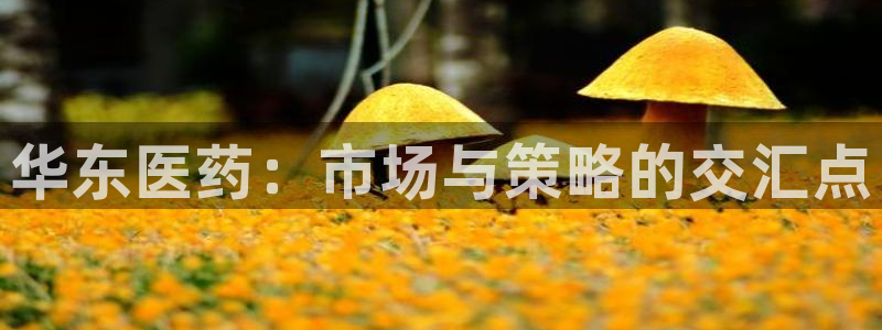 九游会官网客户端