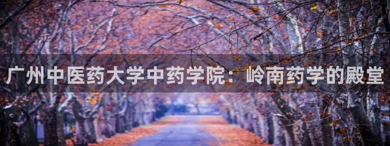 九游会官网登录中心：