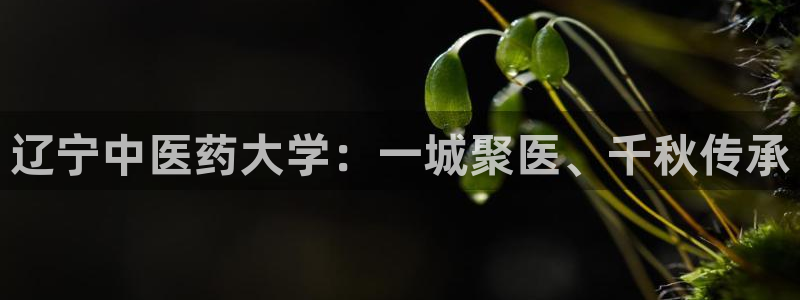 九游会j9官方登录入口