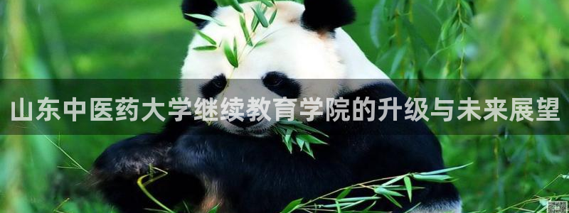 J9九游会能退款吗：