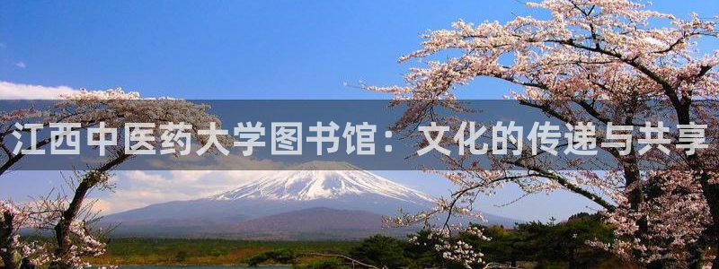 九游会是什么组织：江